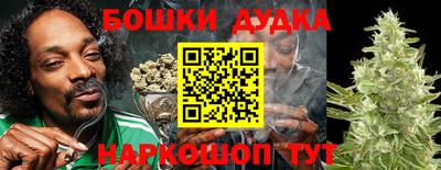 стаф Нарткала