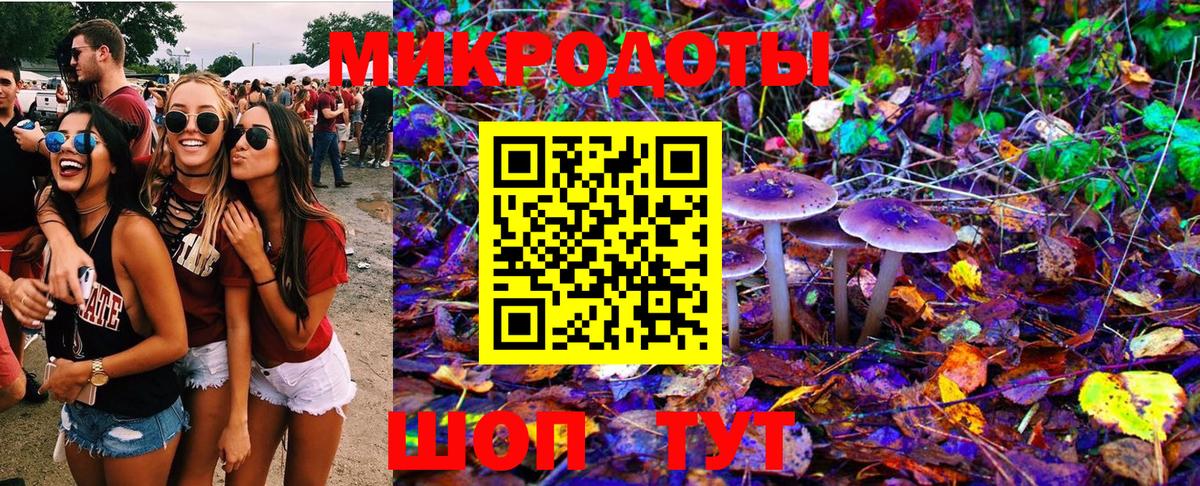 Псилоцибиновые грибы Psilocybe Омск